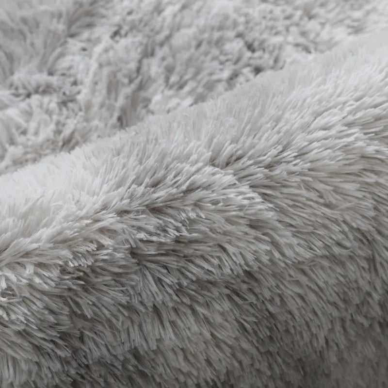 Large Plush Lounge Carpet